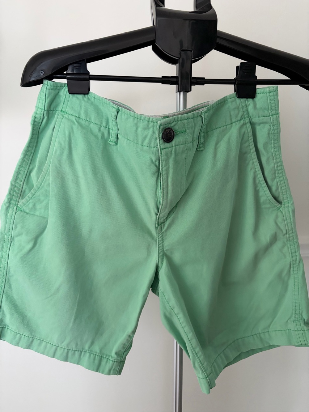 American Eagle Outfitters Mint Green Shorts